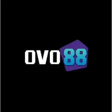 OVO88 - Aplikasi Forum Komunitas Terbaik untuk Sosialisasi